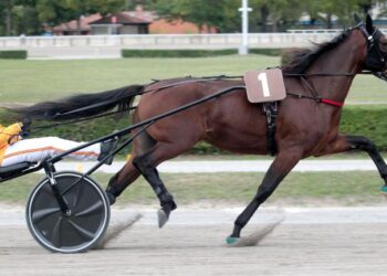 Ippica – Gran Premio Unione Europea: Alrajah One favorito.