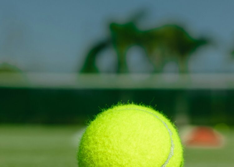Sabalenka-Gauff